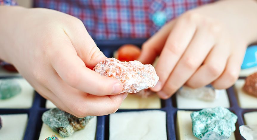 Boy holding a mineral in his hand while looking at the many of them in a case